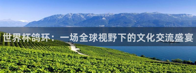 欧洲区世界杯预选赛:世界杯鸽环:一场全球视野下的文化交流盛宴