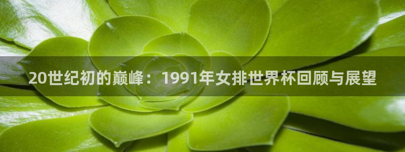 世界杯欧洲区世预赛赛程:20世纪初的巅峰:1991年女排世界杯回顾与展望