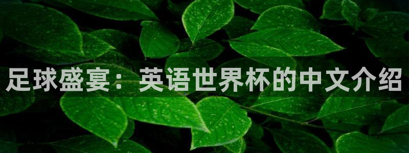 今年世界杯:足球盛宴:英语世界杯的中文介绍