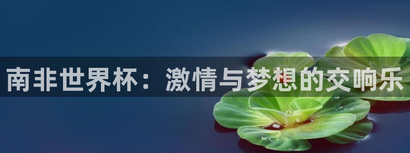 2026世界杯32强对阵图表:南非世界杯:激情与梦想的交响乐