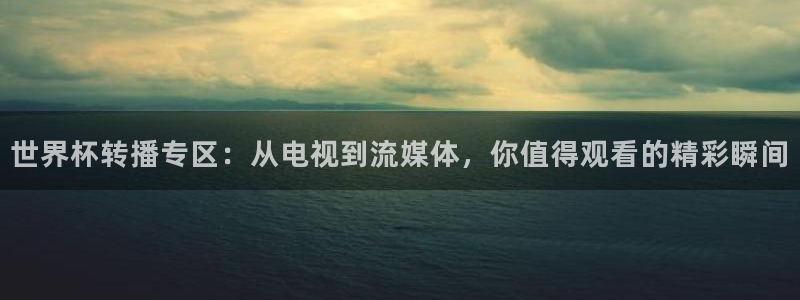 2026世界杯南美区积分榜:世界杯转播专区:从电视到流媒体,你值得观看的精彩瞬间