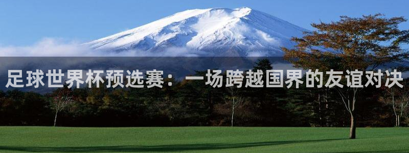 2026世界杯欧洲预选赛赛程表:足球世界杯预选赛:一场跨越国界的友谊对决