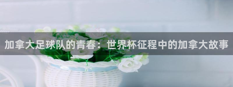 世界杯对阵图2026:加拿大足球队的青春:世界杯征程中的加拿大故事