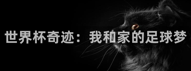 2026年世界杯对阵图:世界杯奇迹:我和家的足球梦