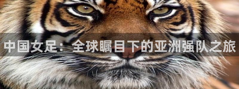 世界杯今年:中国女足:全球瞩目下的亚洲强队之旅