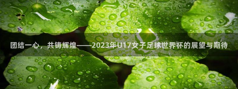 世界杯决赛预测:团结一心,共铸辉煌——2023年U17女子足球世界杯的展望与期待