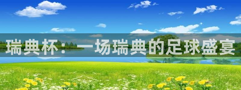 世界杯直播:瑞典杯:一场瑞典的足球盛宴